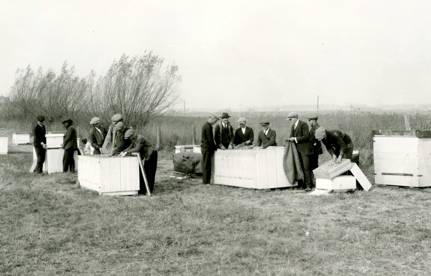 Veterans enrolled in vocational classes at Iowa State College practice beekeeping.